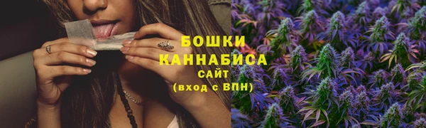 МДПВ Рославль